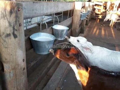 Fazenda/Sítio com 6 Quartos à venda, 500m² no , Alpinópolis