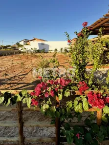 Lote/Terreno à venda, 500m² no , Petrolina