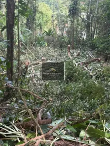 Lote/Terreno à venda, 666m² no Itaguá, Ubatuba