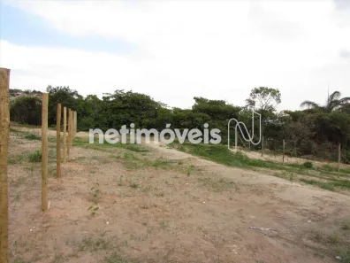 Lote/Terreno para alugar, 517m² no Tropical, Contagem