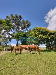Fazenda/Sítio com 5 Quartos à venda, 232300m² no Portão, Atibaia