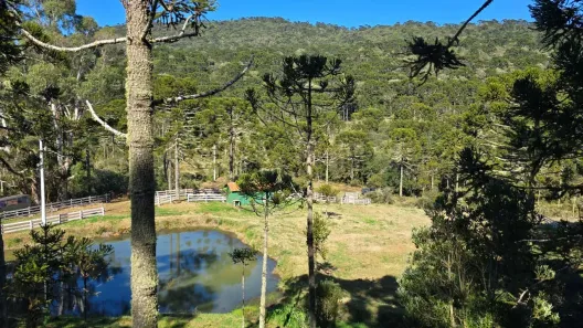 Fazenda/Sítio à venda, 30000m² no , Painel
