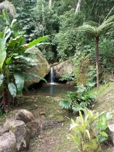 Fazenda/Sítio com 4 Quartos à venda, 10565m² no Itaipava, Petrópolis