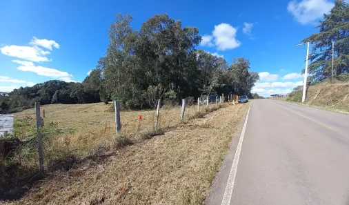 Lote/Terreno à venda, 5000m² no , Flores da Cunha