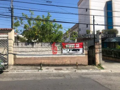 Lote/Terreno à venda, 560m² no Vila Santa Terezinha (Zona Norte), São Paulo