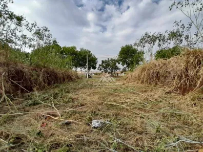 Lote/Terreno para alugar, 175m² no Jardim Cristo Redentor, Ribeirão Preto