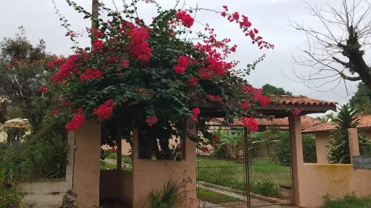 Casa com 2 Quartos à venda, 190m² no Jardim Colonial I, Araçoiaba da Serra