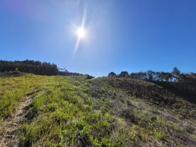 Fazenda/Sítio à venda, 37700m² no , Campo Alegre