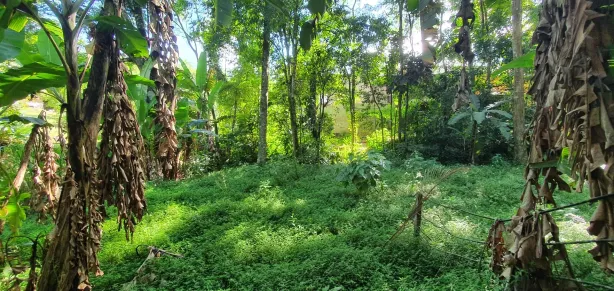 à venda, 600m² no Lumiar, Nova Friburgo