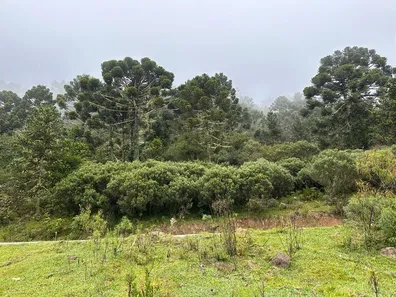 Fazenda/Sítio à venda, 500000m² no , Urubici