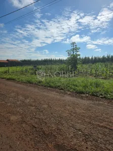 Fazenda/Sítio à venda, 1000m² no , Iguaraçu