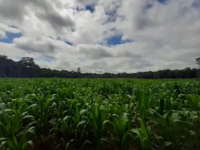Fazenda/Sítio com 1 Quarto à venda, 60000m² no , Contenda