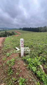 Lote/Terreno à venda, 500m² no Recreio Topázio (Caucaia do Alto), Cotia