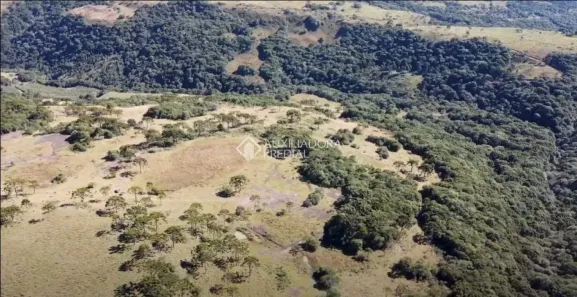 Fazenda/Sítio à venda, 20000m² no Urubici, Urubici
