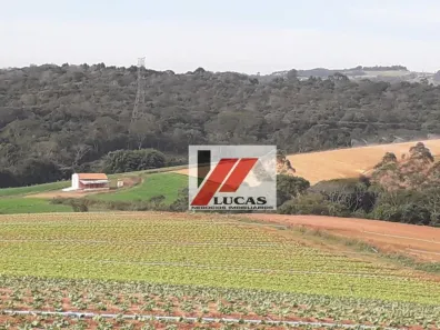 Lote/Terreno à venda, 730000m² no Campininha, Ibiúna