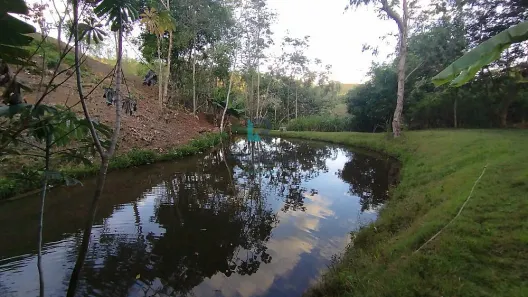 Fazenda/Sítio à venda, 1m² no Centro, Lorena