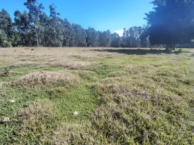 Fazenda/Sítio à venda, 36300m² no , Porangaba