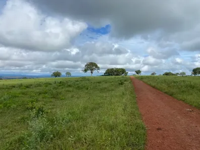 Fazenda/Sítio à venda, 1066m² no Centro, Torixoréu