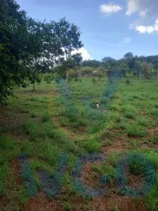 Fazenda/Sítio com 1 Quarto à venda, 22000m² no , Pirenópolis