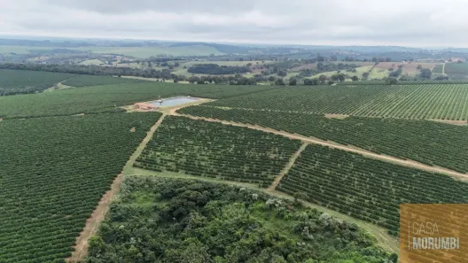 Fazenda/Sítio com 30 Quartos à venda, 640m² no , Paraguaçu