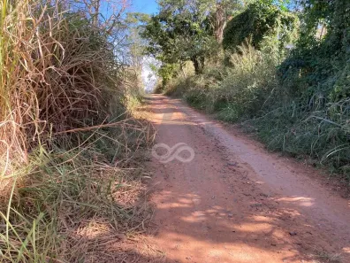 Fazenda/Sítio com 1 Quarto à venda, 10m² no Veridiana, Espírito Santo do Pinhal