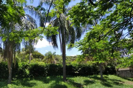 Fazenda/Sítio com 3 Quartos à venda, 5000m² no Jardim Monte Carlo, Franca
