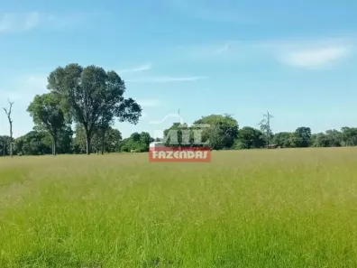 Fazenda/Sítio à venda, 500m² no , Cocalinho