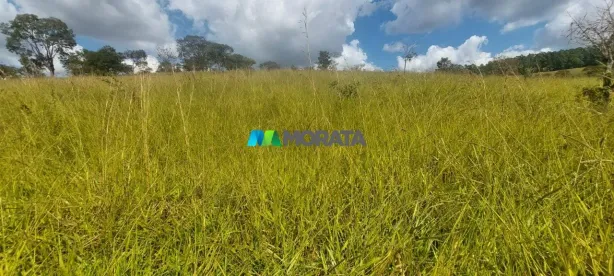 Fazenda/Sítio com 1 Quarto à venda, 106m² no Centro, Itaúna