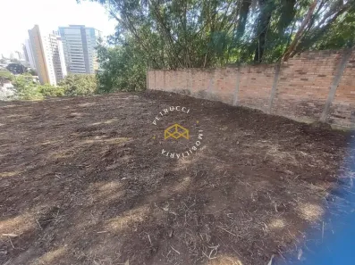 Lote/Terreno à venda, 919m² no Nova Campinas, Campinas