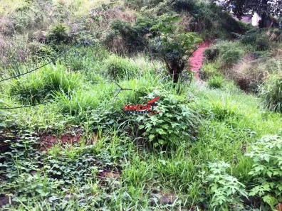 Lote/Terreno à venda, 278m² no Bom Jesus, Viçosa