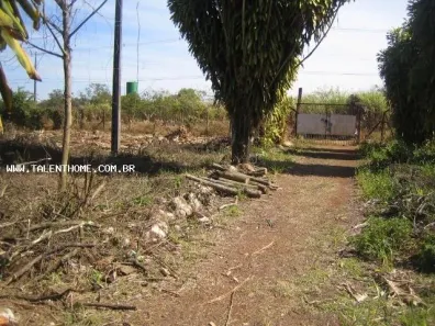 Lote/Terreno à venda, 3000m² no Brasília, Londrina