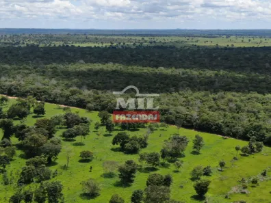 Fazenda/Sítio à venda, 1m² no , Nova Crixás