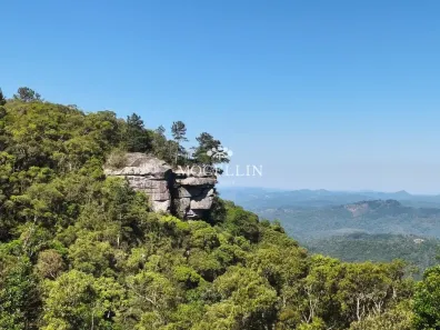 Lote/Terreno à venda, 25447m² no São Luiz do Purunã, Balsa Nova