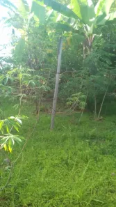 Fazenda/Sítio com 1 Quarto à venda, 4800m² no Parque Estrela Dalva VIII, Luziânia