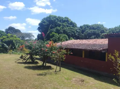 Fazenda/Sítio com 3 Quartos à venda, 88000m² no Novo Cohatrac, São José de Ribamar