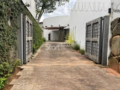 Imóvel Comercial com 12 Quartos para alugar, 559m² no Jardim das Paineiras, Campinas