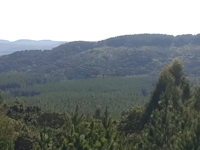 com 1 Quarto à venda, 280m² no Centro, Itapetininga