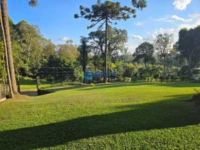 Lote/Terreno à venda, 1072m² no Pedancino, Caxias do Sul