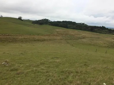 Lote/Terreno à venda, 150000m² no Centro, São Francisco de Paula