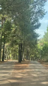 Lote/Terreno à venda, 4200m² no Village Sans Souci, Nova Lima