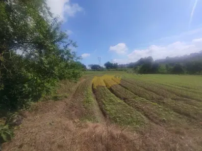 Lote/Terreno à venda, 41839m² no Distrito Industrial, Rio Claro