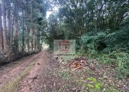 Lote/Terreno à venda, 21723m² no Areia Branca dos Assis, Mandirituba