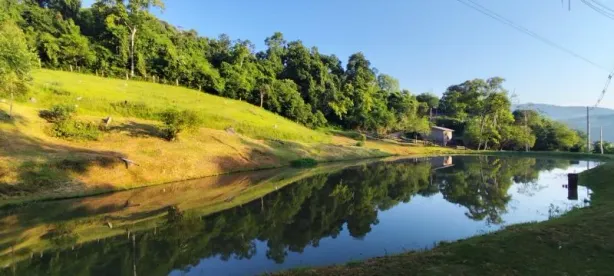 Fazenda/Sítio à venda, 8000m² no Rolantinho, Rolante