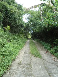 Lote/Terreno à venda, 1500m² no Córrego Grande, Florianópolis