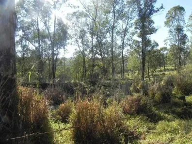 Lote/Terreno à venda, 20345m² no Monte Alegre, Vinhedo