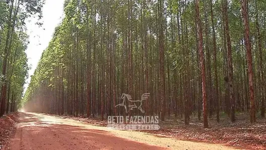 Fazenda/Sítio à venda, 999999999m² no , Padre Carvalho