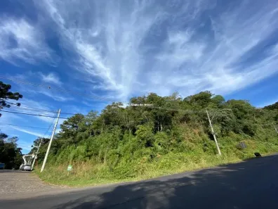 Imóvel Comercial à venda, 10000m² no , Canela
