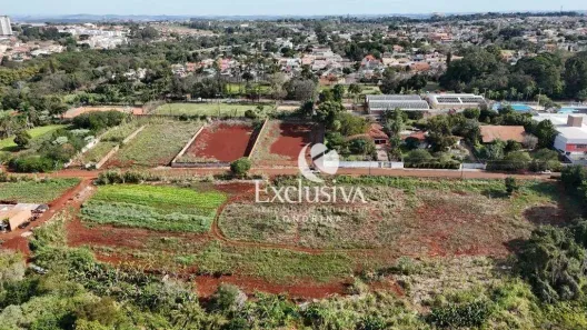 Lote/Terreno à venda, 5000m² no Nikko, Londrina