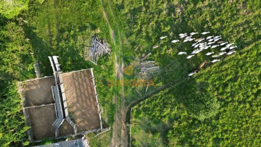 Lote/Terreno à venda, 592900m² no , Candeias do Jamari