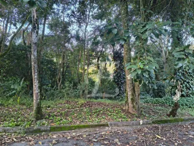 Lote/Terreno à venda, 1160m² no Caraguatá, Mairiporã
